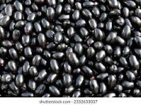 JAMUN